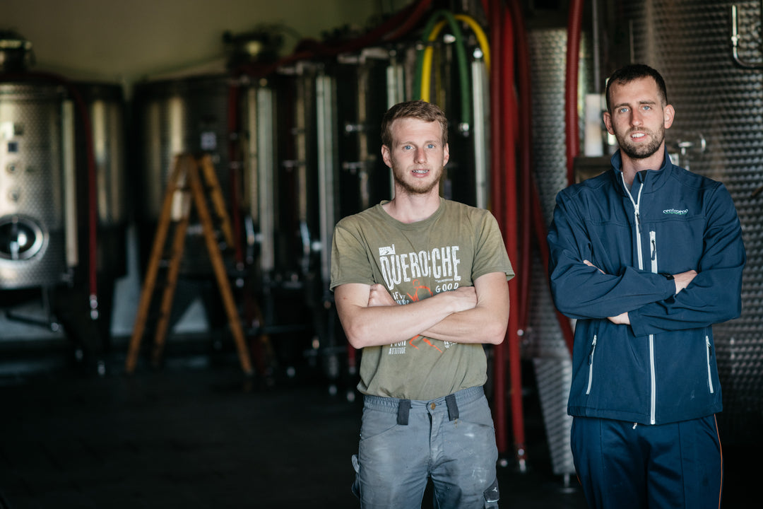 オーガニックプロセッコスペリオーレDOCG Benny Extra Brut ベニー 750ml