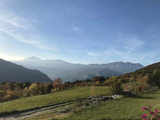 【SALE】ピクニックセット クラフトビール6本セット