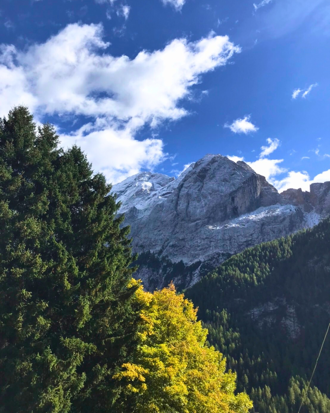 イタリアに帰国しています！